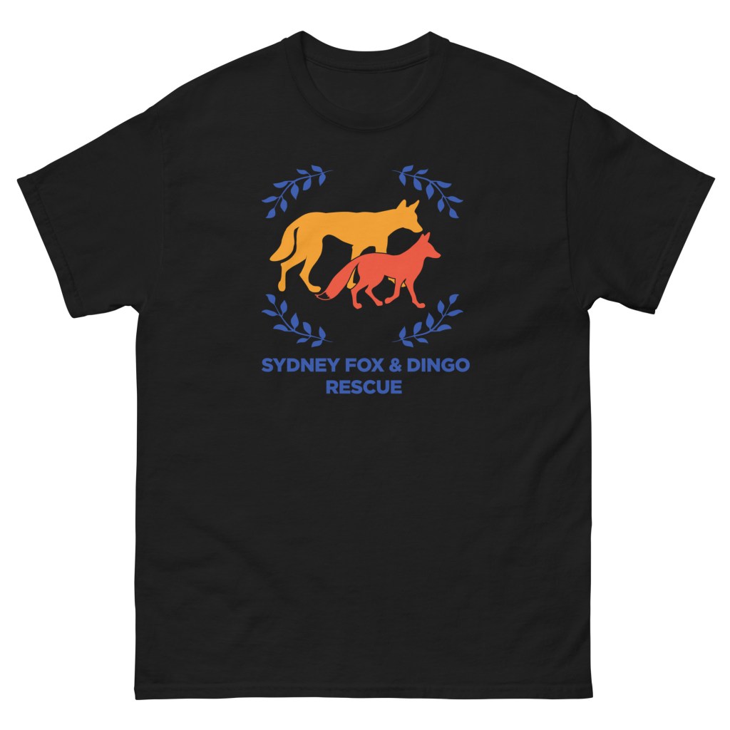SFDR Unisex classic tee