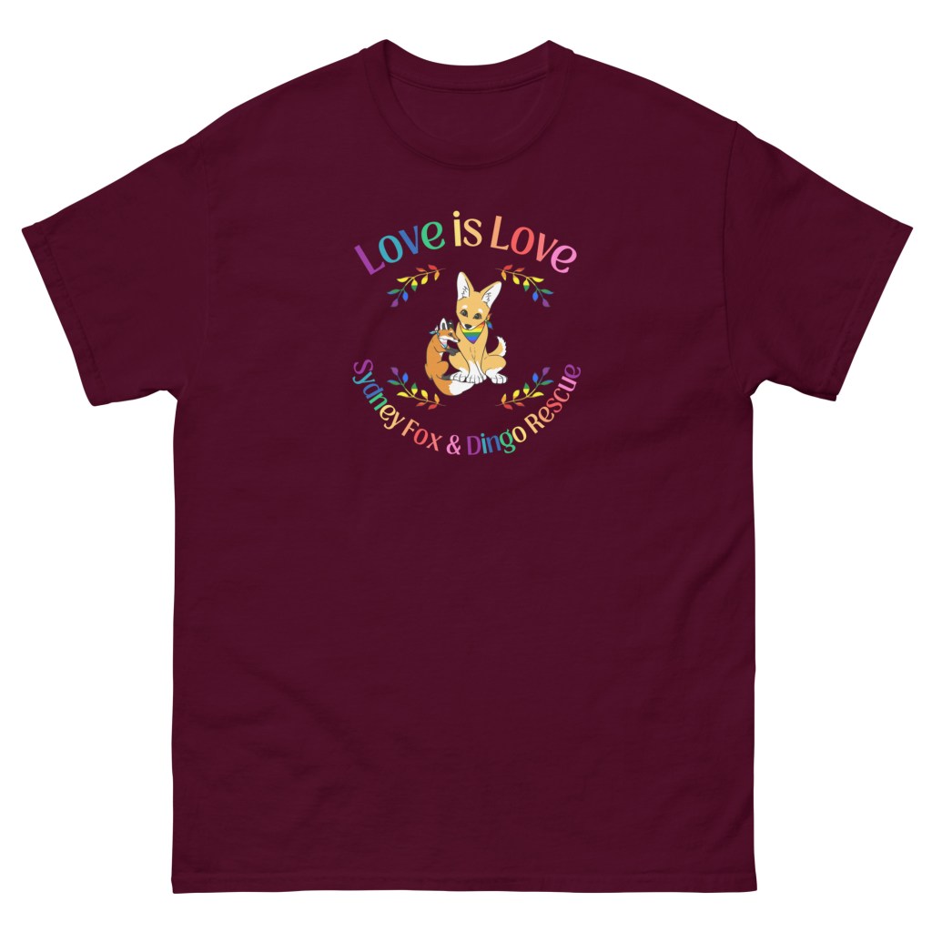 Love is Love SFDR unisex classic tee
