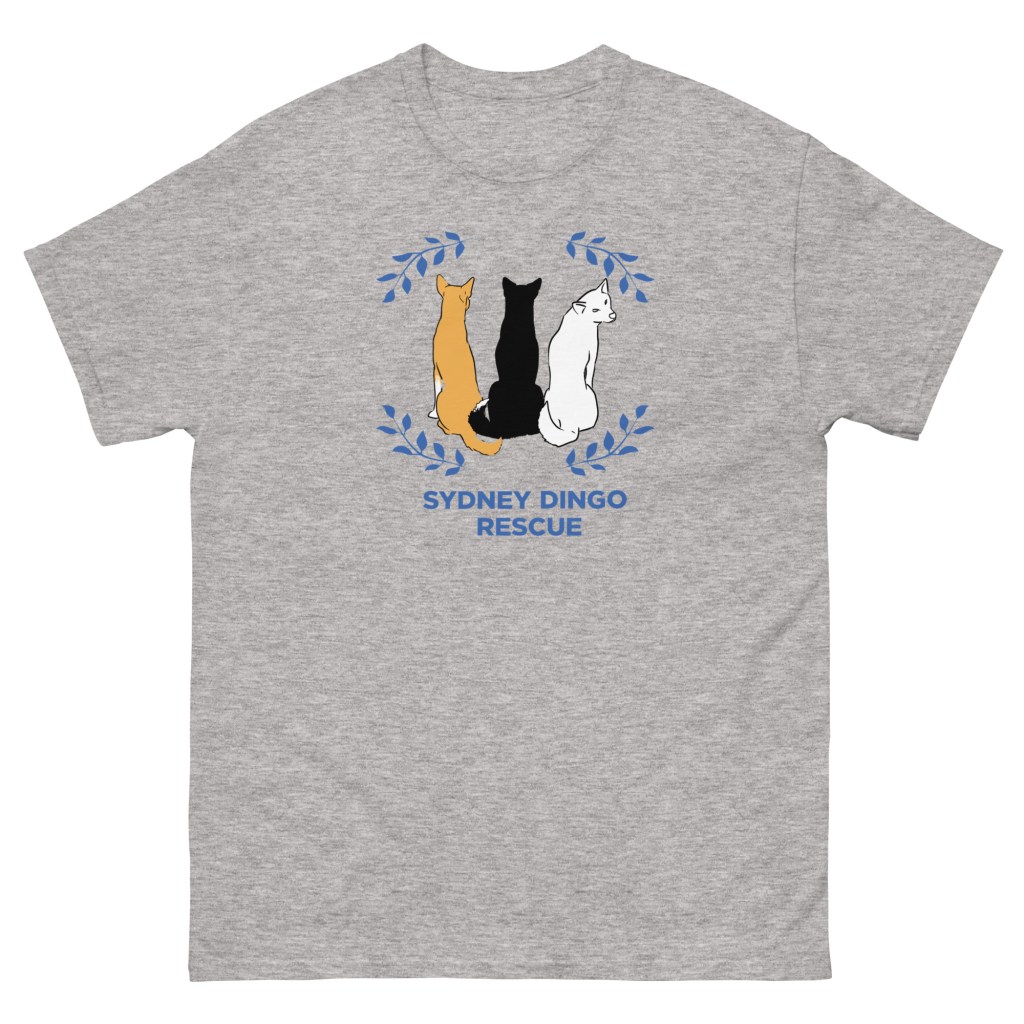SDR unisex classic tee